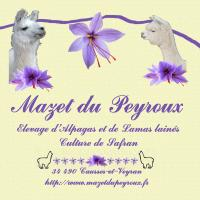 Le logo de Mazet du Peyroux