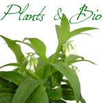 Le logo de Plants & Bio