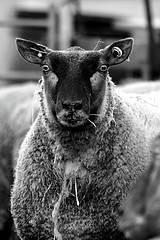 Le logo de La ferme "Autrement"