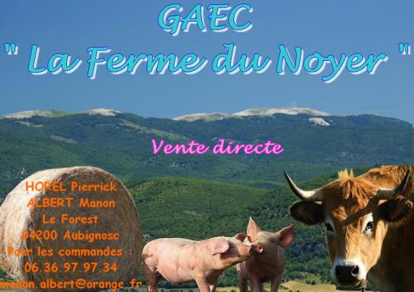 Le logo de GAEC La Ferme du Noyer