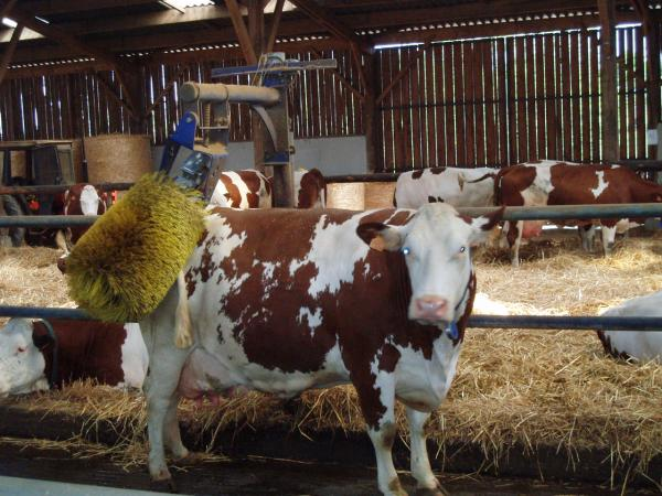 Le logo de Ferme les Treize Fontaines