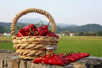 Le logo de Ferme Salaberry