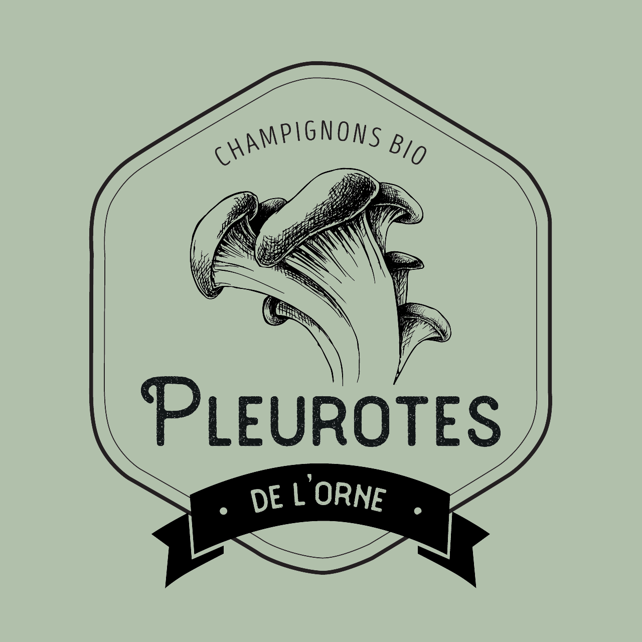 Le logo de Pleurotes de l'Orne